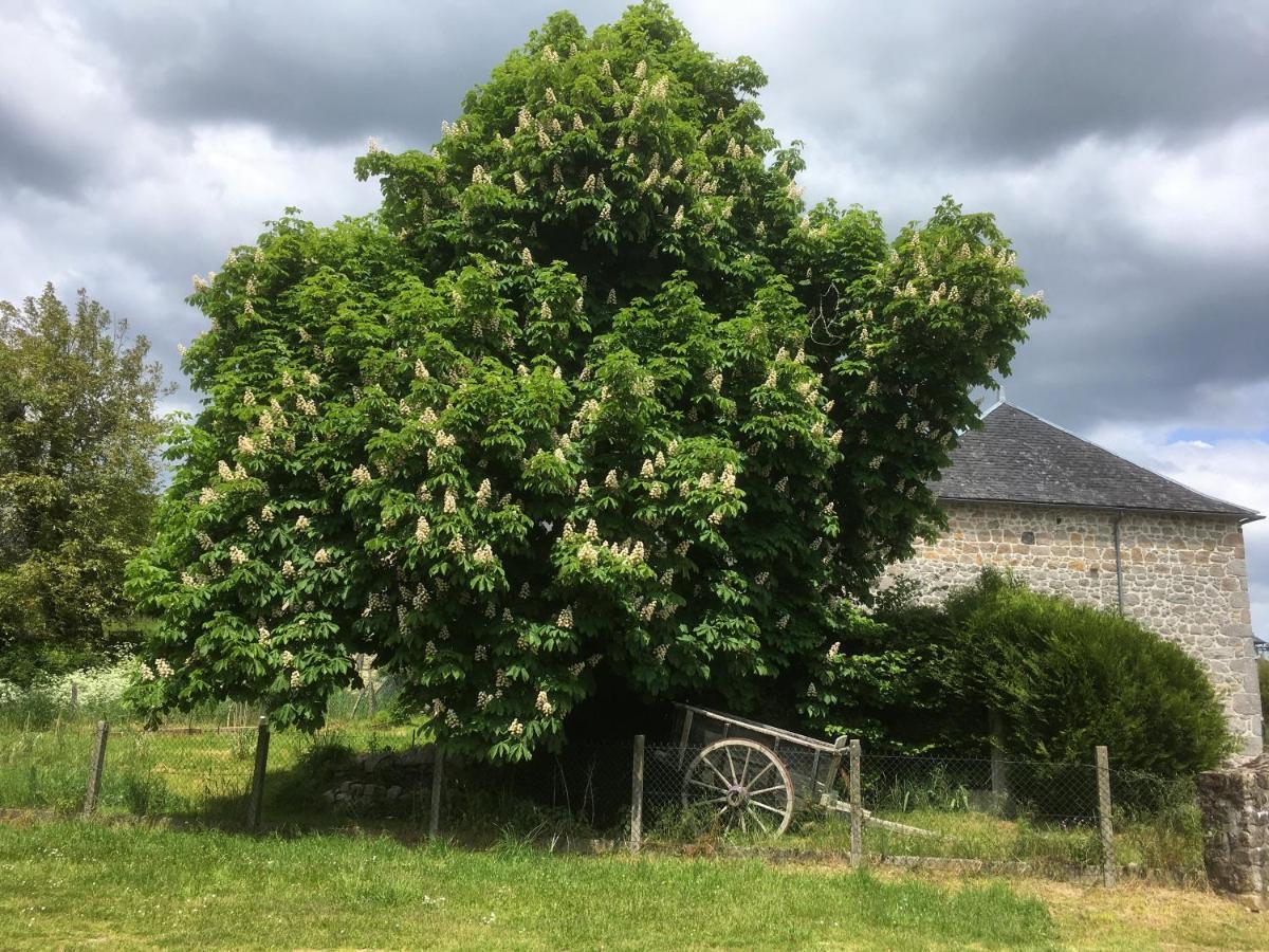 Les Pipistrelles 19 - D'hotes Homestay *